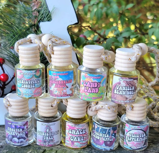 Winter Car Diffusers